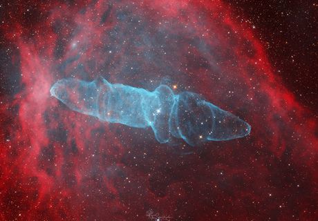 The Squid Nebula