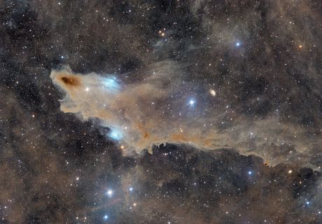Shark Nebula