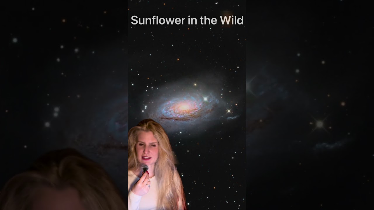 Rating my astrophotos from 2025