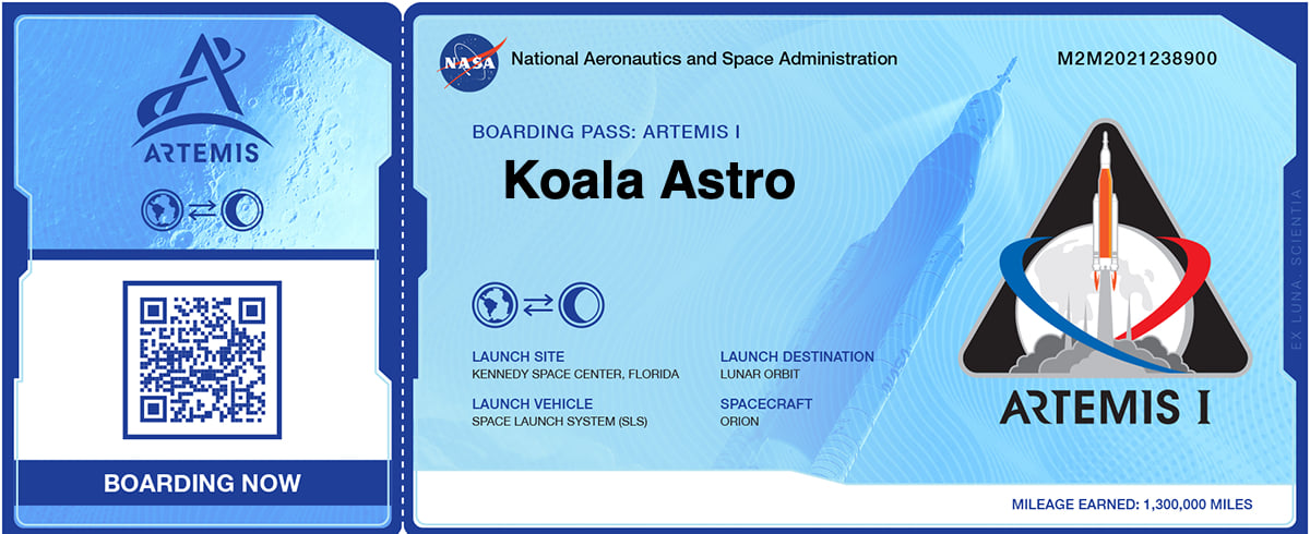 Boarding Pass to the Moon