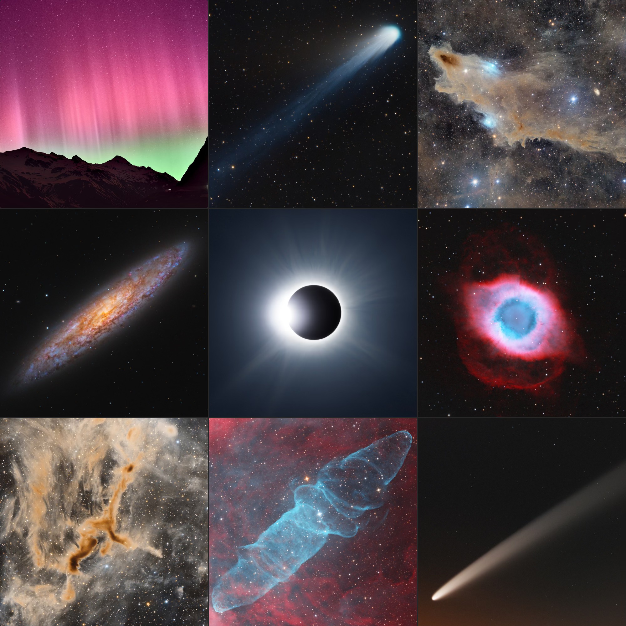 2024 Year in Review