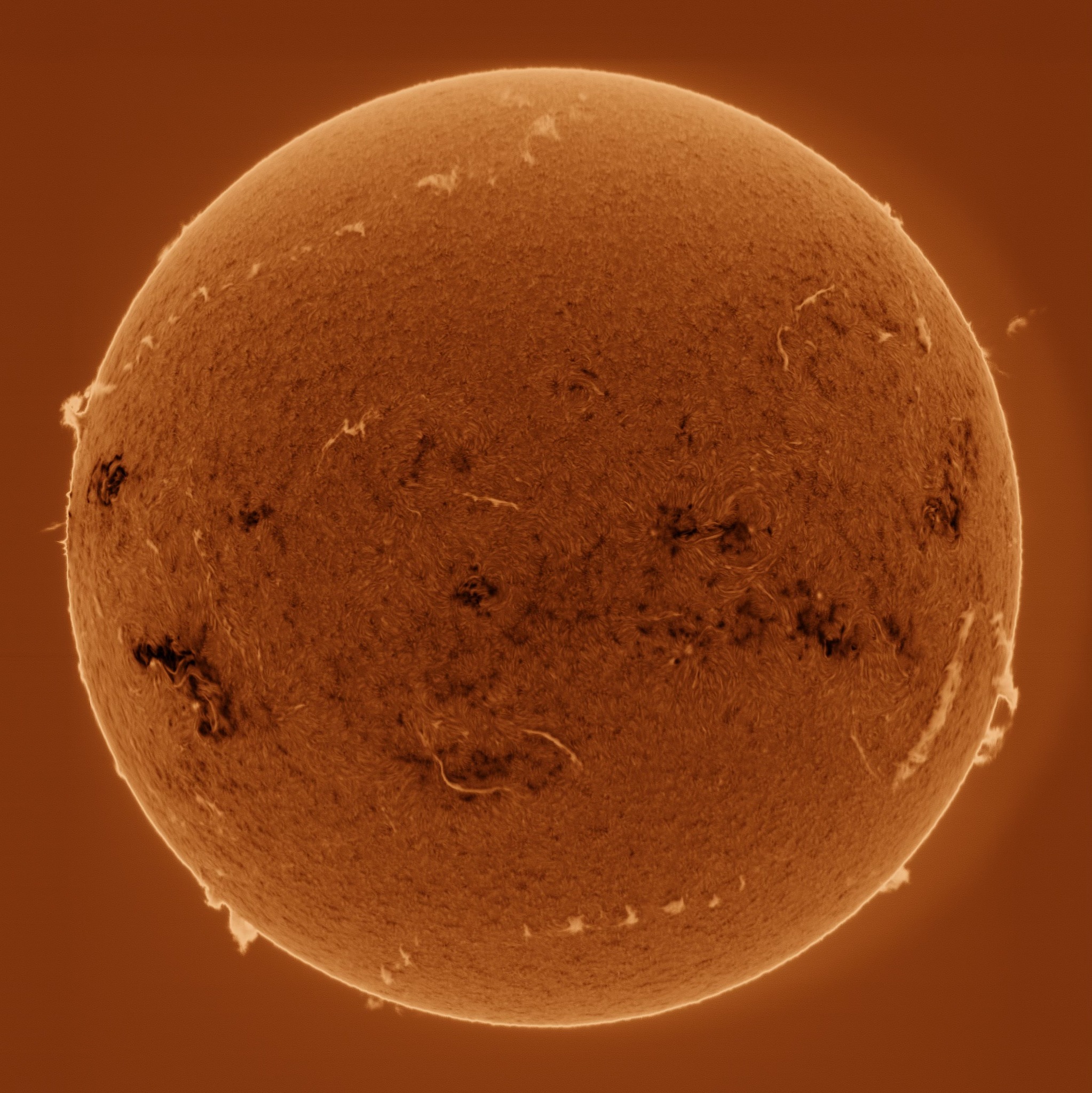 Many Colors of the Sun - image 3