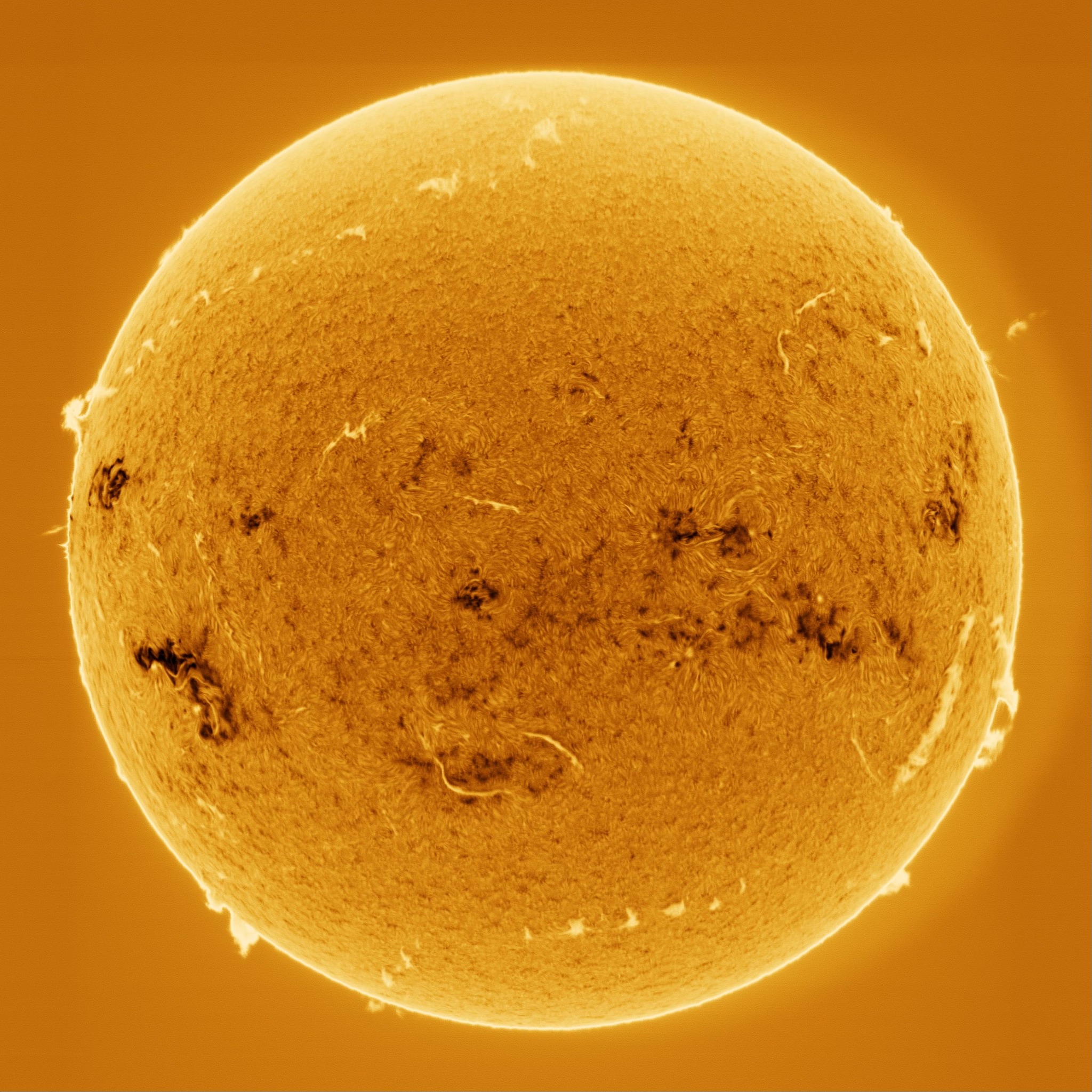 Many Colors of the Sun - image 5