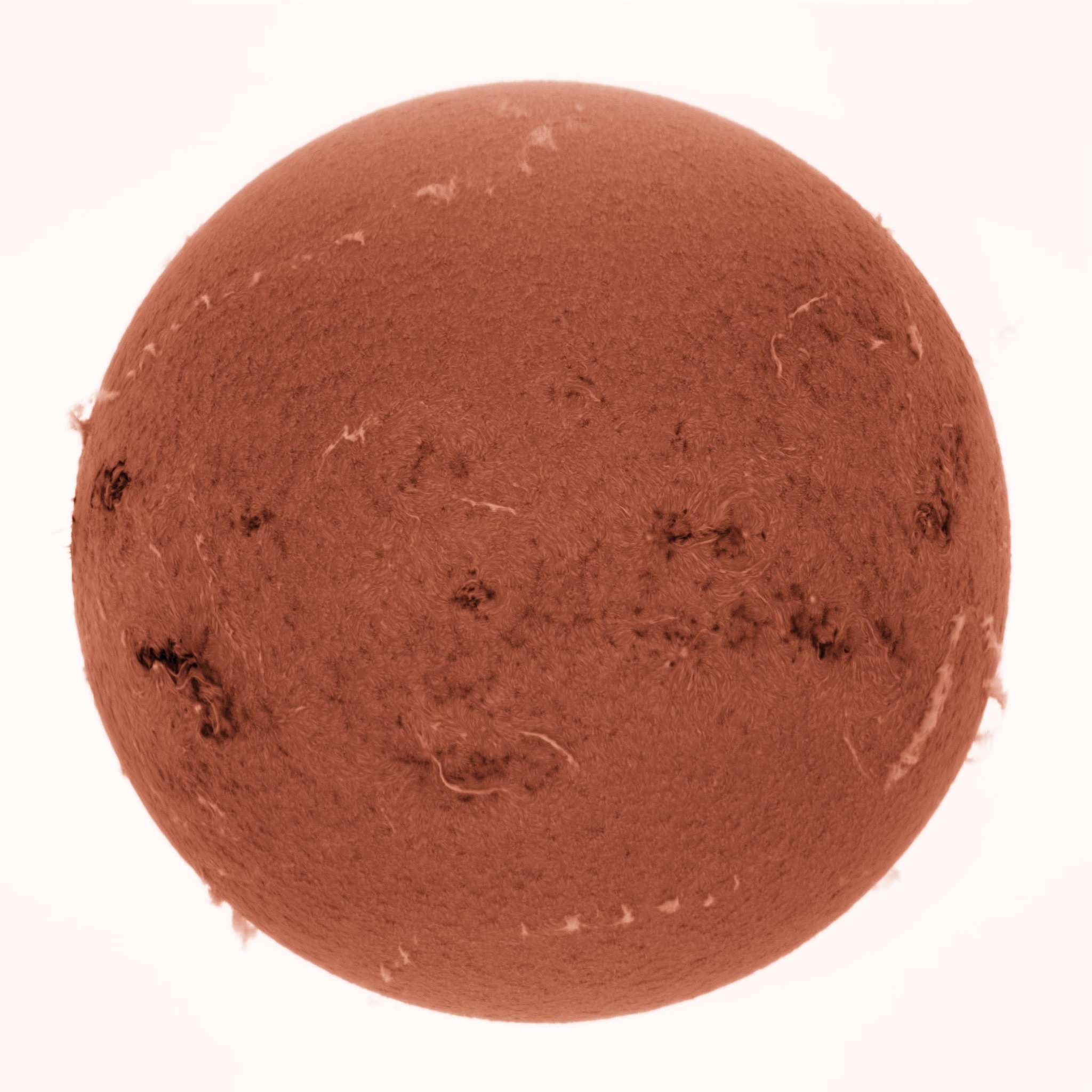 Many Colors of the Sun - image 6