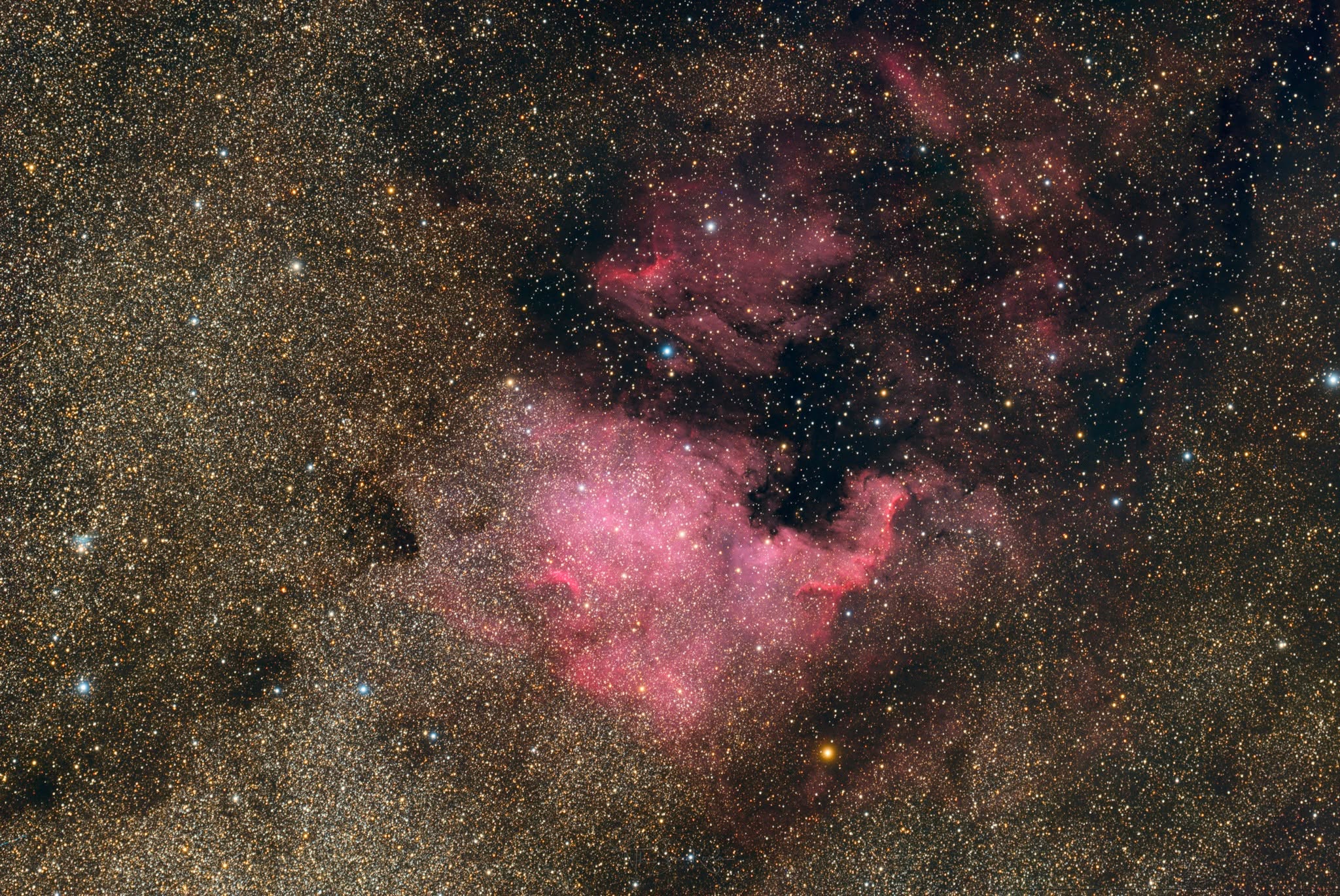 Cerberus - image 2