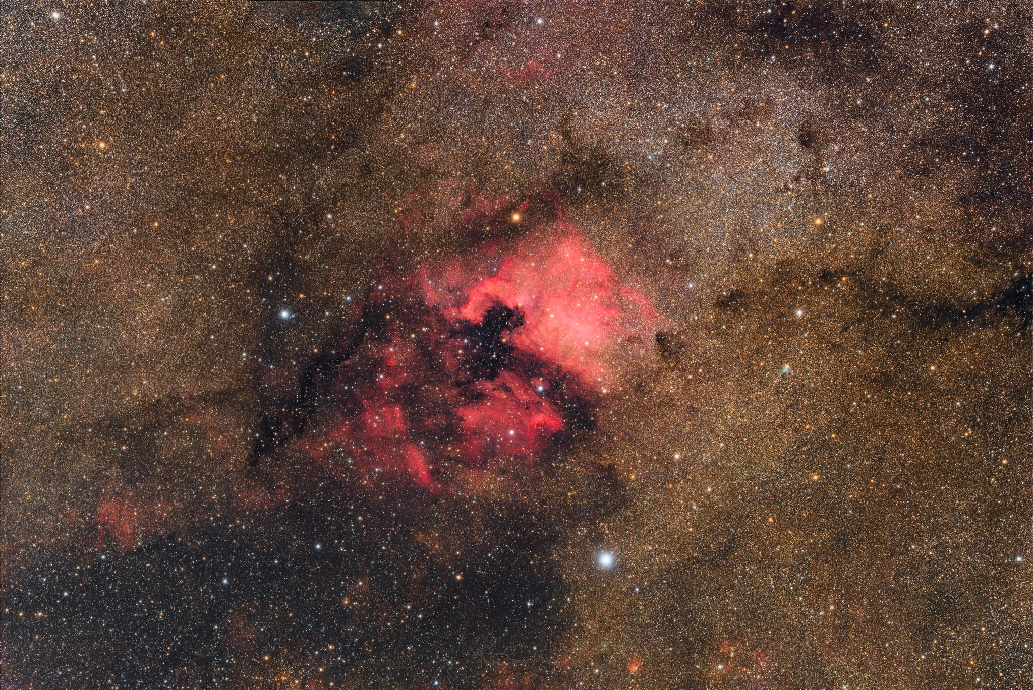 Cerberus - image 3