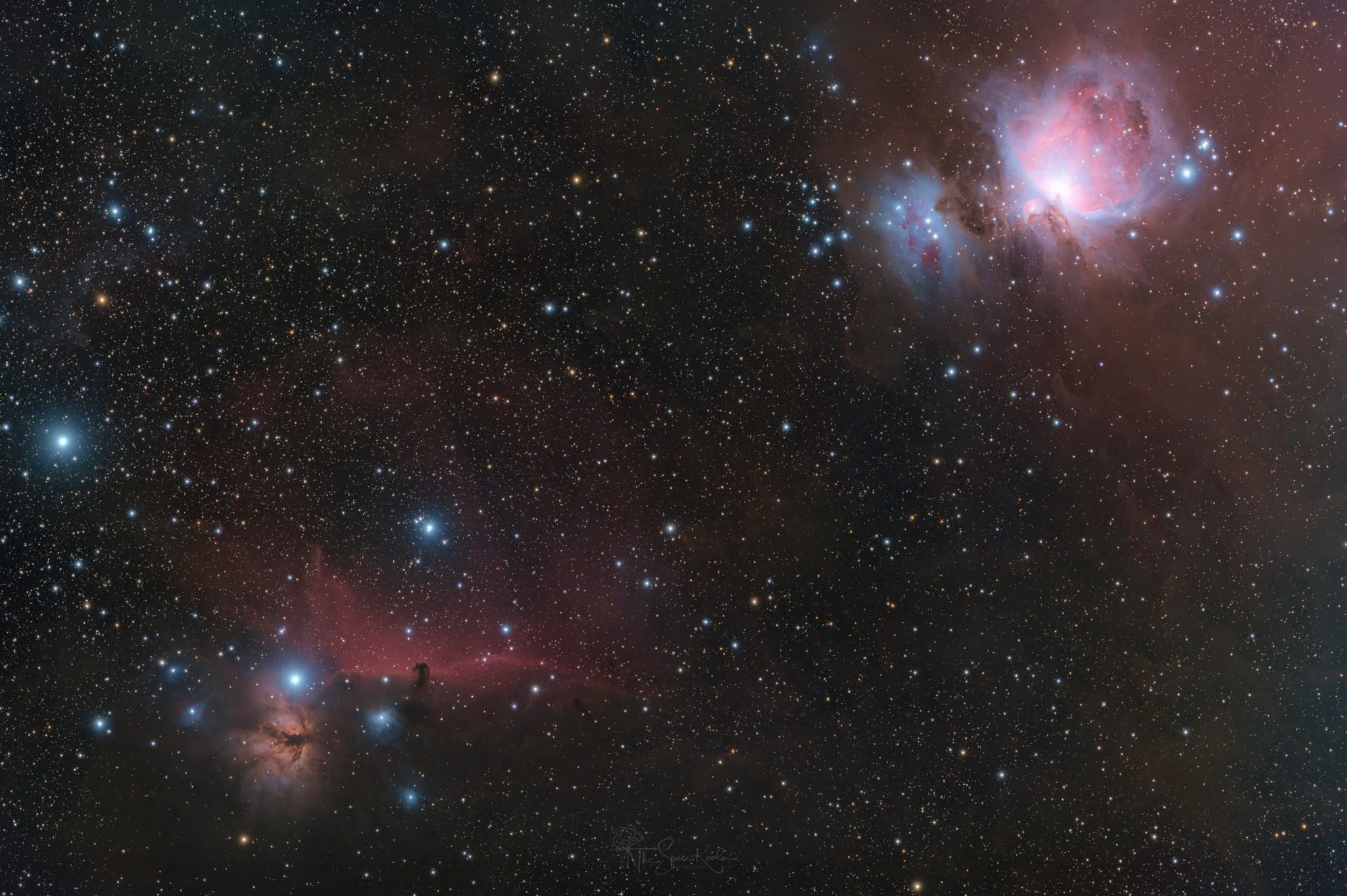 Cerberus - image 4