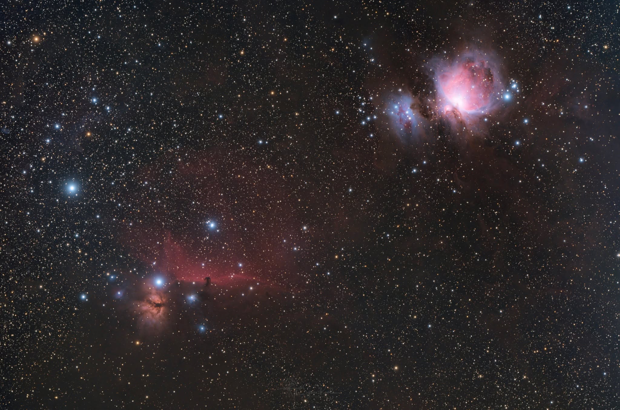 Cerberus - image 5