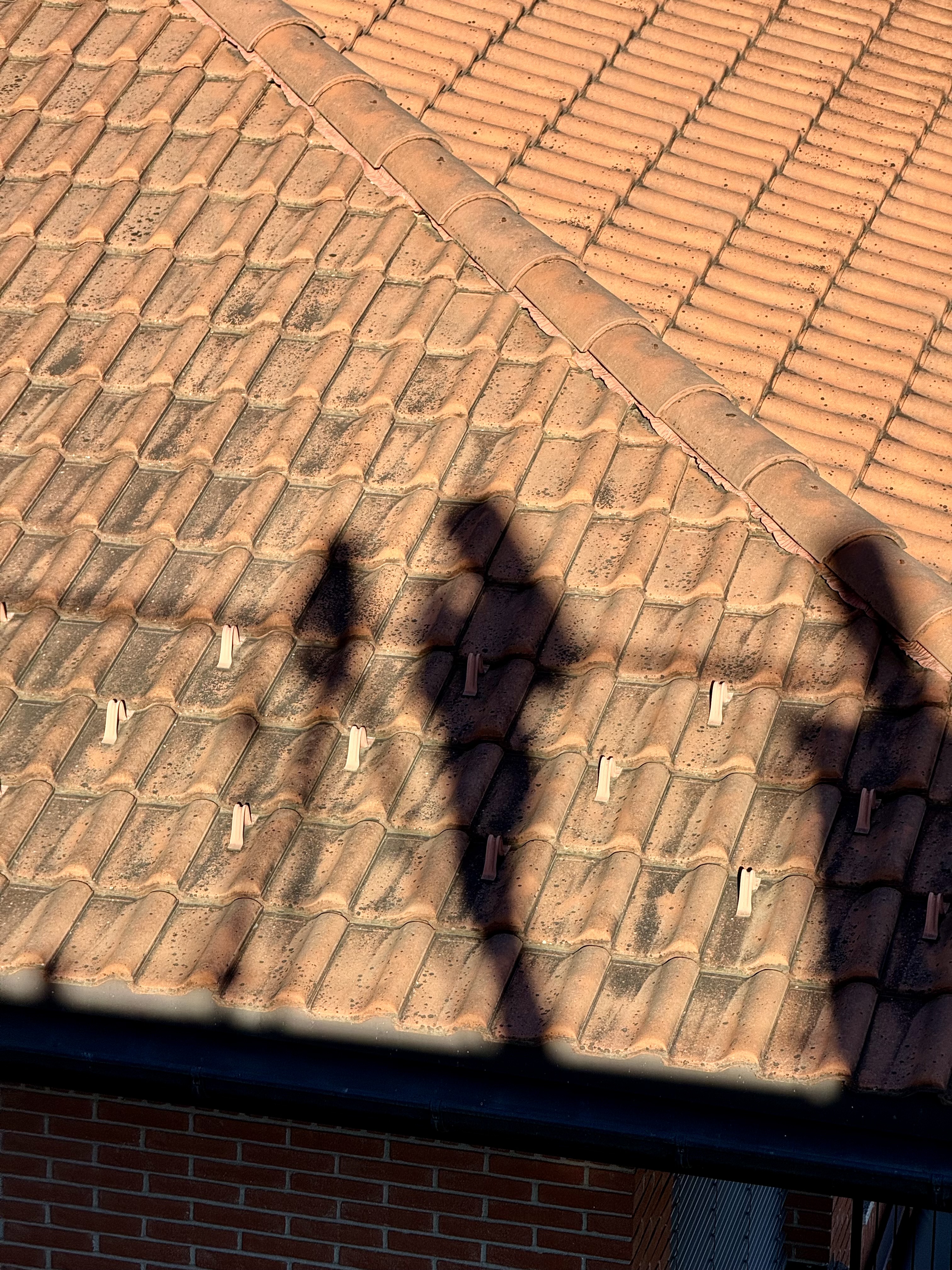 Telescope selfie on my neighbor’s roof
